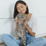 猫と快適に暮らすためのマンションリノベーションアイディア